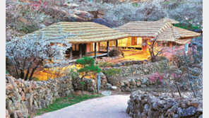 [2017 제3회 트래블아이 어워즈]섬진강 따라 붉게 물들어… 봄 알리는 광양매화축제