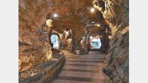 [2017 제3회 트래블아이 어워즈]폐광을 문화 공간으로… 수도권 유일 동굴 관광지