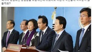 류여해 “정봉주 복권? 차라리 복권 듬뿍 사서 당첨되면 포항 재건에 써라”