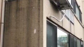 서울 첫눈, 역대 ‘가장 빨리’·‘가장 늦게’ 내린 기록은?