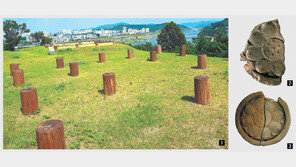 [단독]“공주 정지산 유적, 백제 무령왕의 빈전 아니다”