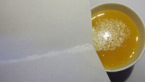 호주 남아 성폭행 주장 ‘워마드’ 회원, 현지 경찰에 체포·한국女 확인…송환 No?