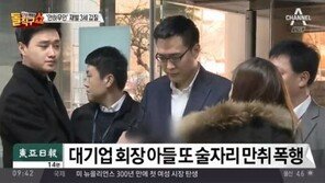 김승연 회장의 자랑 ‘장남’과 너무 다른 셋째 김동선, 왜? 