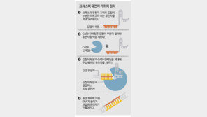 [헬스동아]암 치료부터 인간 배아까지… 전세계가 주목하는 ‘유전자 가위’