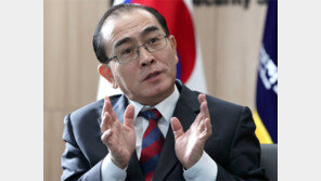 태영호 “北은 구멍 뚫린 배… 평화적으로 가라앉게 제재 강화해야” 