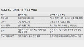 中, 쿠데타 배후조종설… 짐바브웨 내부서도 솔솔