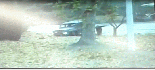 [영상]귀순 북한 병사 CCTV…북한군 추격조, 순간적으로 MDL 월선 ‘딱’