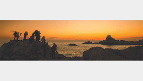 [Enjoy Life]출사의 계절… 풀프레임 DSLR로 세상을 담아볼까