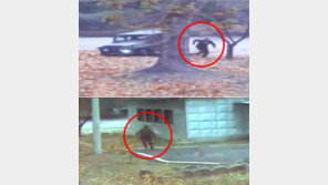 귀순 북한 병사 CCTV 공개 유엔사 “JSA 한국군의 전략적 판단 지지” (영상)