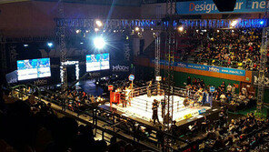 “격투홀릭에 빠져 봅시다”…MAX FC 입식격투기 진수 선보인다