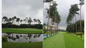 솔 향기 사이로…힐링과 도전이 공존하는 ‘솔모로CC’