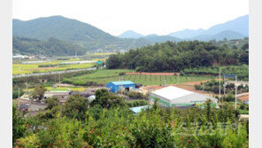 [고흥, 이야기가 있는 마을] “제발 돌섬만은…” 아버지를 그리는 애절한 효심