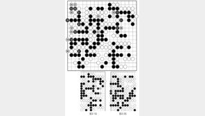 [바둑]알파고 vs 알파고 특선보… 무위로 돌아간 수상전