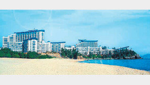 [화제의 분양현장]대명리조트 창립 38주년 기념 정회원권 분양