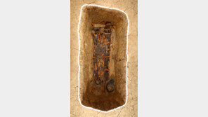 진한 소국 ‘압독국’ 초기 수장 무덤 발견