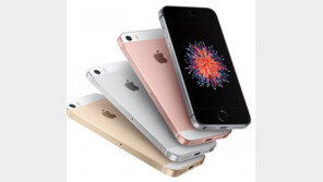 애플 4인치 크기 ‘아이폰 se 2’ 내년 출시?…“40만원 대 작고 저렴한 아이폰”