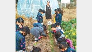 [공기업 감동경영]텃밭 가꾸기, 바른 식생활의 첫 걸음