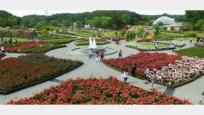 울산에 ‘장미 테마거리’ 만든다