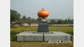 창녕 양파 우수성 널리 알린다…‘2017 창녕양파 요리 경연대회’ 개최