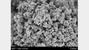 [소비자정보]삼성전자, 충전 속도 5배 빠른 배터리 원천 기술 확보 外