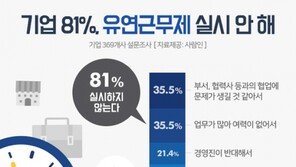 기업 81% 유연근무제 실시 안해…“협업 어렵고, 업무 많아 여력없다”