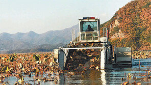 창원시 “주남저수지에 수초 제거선 투입 검토”