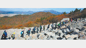 ‘걷기 명소’ 전남에 역사-테마 갖춘 명품길 잇따라