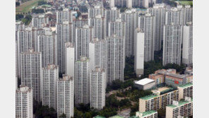 [주거복지 로드맵 D-1] 신혼부부 내 집 마련 쉬워진다