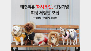 강아지 피팅 체험단 신청하세요