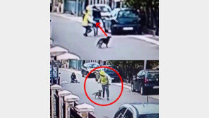 [영상]강도 만난 낯선 여성 구해준 견공, “전생에 경찰이었나?”