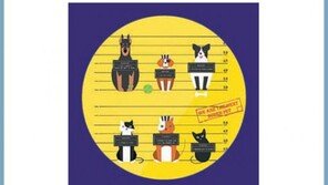 [알립니다]반려동물 사랑 가득히 ‘슈퍼 펫 쇼 2017’ 개최