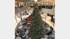 높이 10m 대형 성탄트리