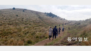 탐방객 늘어나며… 신음하는 제주 오름