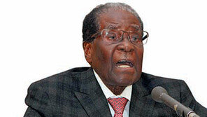 무가베 떠나도… 멀고 먼 짐바브웨의 봄