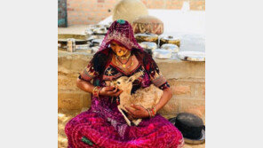 아기 사슴 품에 안고 모유 수유 ‘뭉클’…온라인에 칭찬 물결