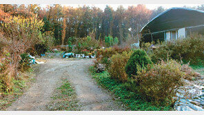 [화제의 분양현장]의왕 토지 분양, 백운밸리 인근 도시 내 자연녹지 