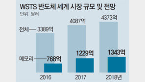 반도체 호황 언제까지… 업계 “내년 하반기엔 낙관 못해”