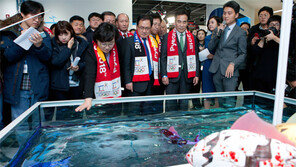 “VR 고글 쓰면 나도 국가대표”… 평창서 한국 기술력 뽐낸다