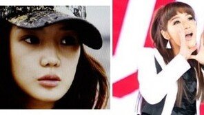 “성형수술 전 더 매력”…홍수아에 안타까운 반응…제2의 ‘□□□’?