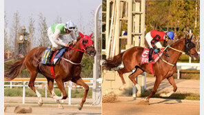 명불허전 ‘클린업조이’ vs 신흥강자 ‘청담도끼’