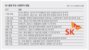 SK, 배터리 분야에 1조원 ‘통큰 투자’