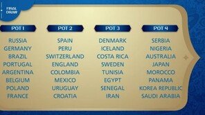 2018 러시아 월드컵 조추첨, 2일 0시 시작…방식은?