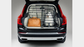 “우리 아지-냥이 위해 아낌없이 쓰련다”