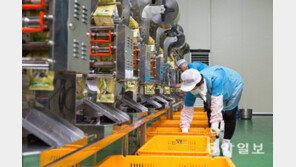 [영남 파워기업]건강식품으로 승부수… ‘귀농 성공사례’ 만들어