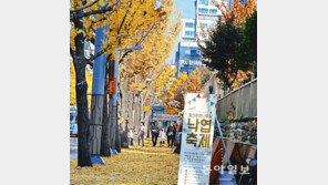 가족과 함께 걷는 ‘낙엽길 축제’