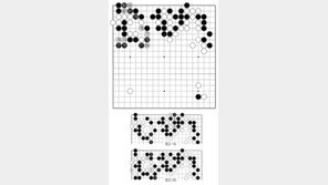 [바둑]알파고 vs 알파고 특선보… 패싸움 발발