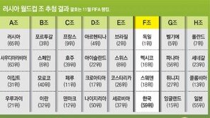 SON의 골 시위… “4년 전 눈물을 웃음으로”