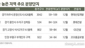 전세가율 높은 지역 새 아파트 ‘눈길’… 대출규제 강화로 관심↑