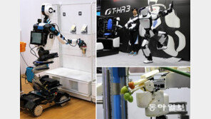 잘 익은 토마토만 골라 수확… 편의점 상품 진열도 척척 