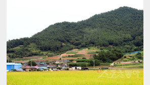 [고흥, 이야기가 있는 마을] “용과 까치가 다시 비상하길” 왜란의 상처가 남긴 恨